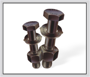 High Strength Friction Grip Nuts